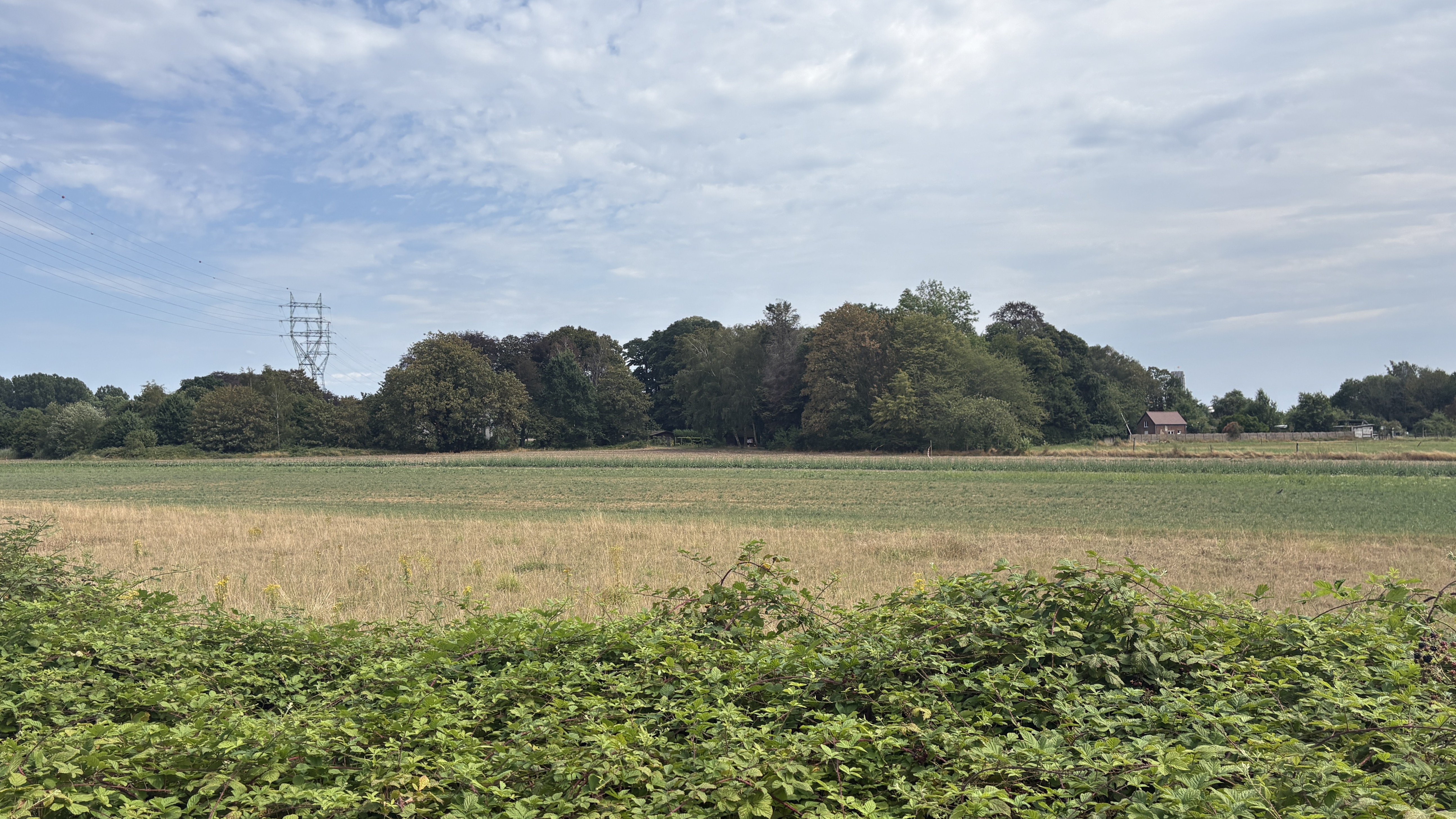 Uilmolenweg locatie windturbine