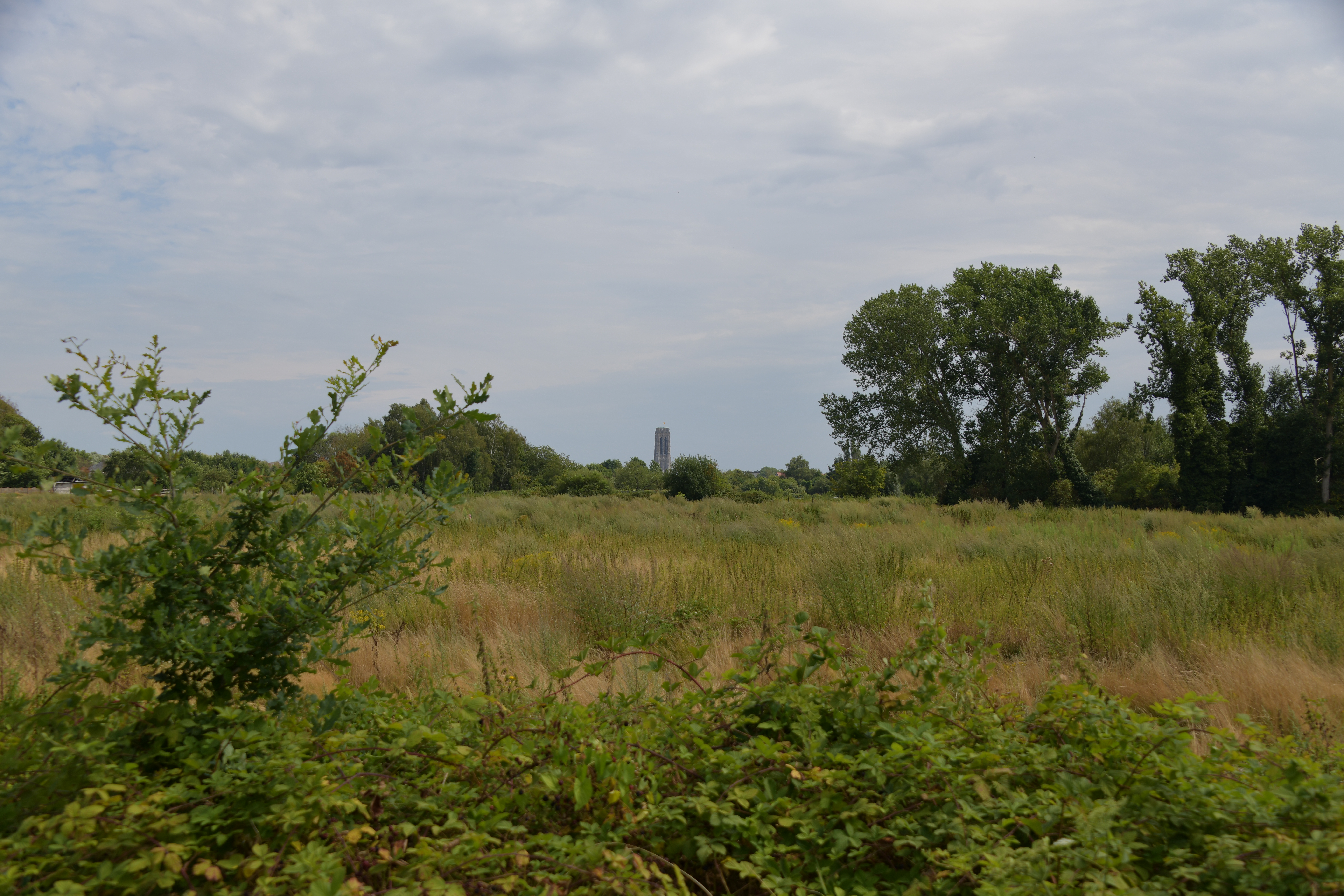 Zicht van op Uilmolenweg